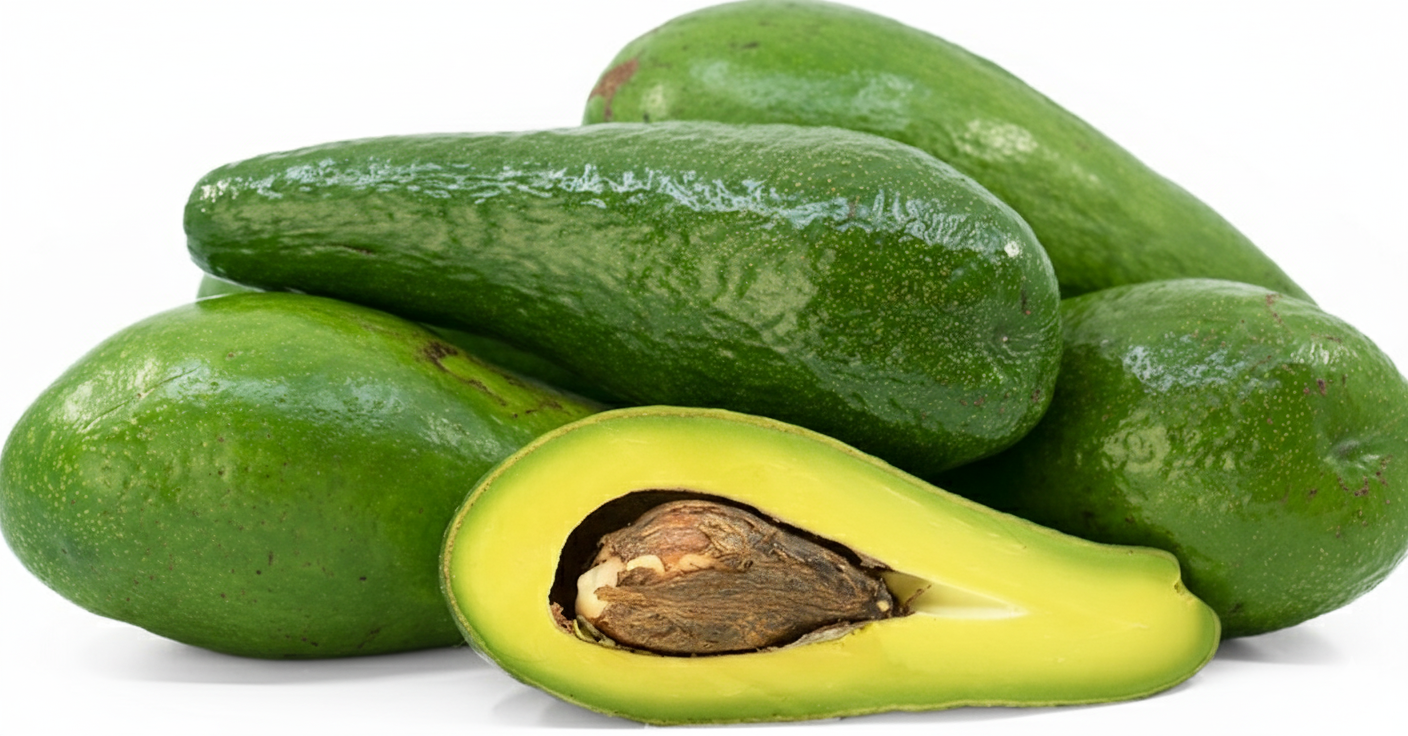 Avocado (ugandan long neck)